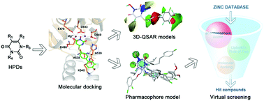 Graphical abstract: In silico study of 3-hydroxypyrimidine-2,4-diones as inhibitors of HIV RT-associated RNase H using molecular docking, molecular dynamics, 3D-QSAR, and pharmacophore models