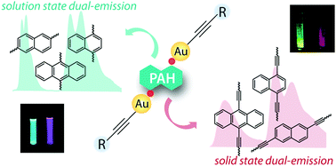 Graphical abstract: Solution versus solid-state dual emission of the Au(i)-alkynyl diphosphine complexes via modification of polyaromatic spacers
