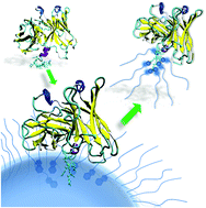 Graphical abstract: Functionalization of protein hexahistidine tags by functional nanoreactors