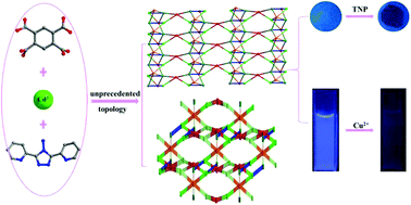 Graphical abstract: Two mixed-ligand Cd(ii)–organic frameworks with unique topologies: selective luminescence sensing of TNP and Cu2+ ions with recyclable performances