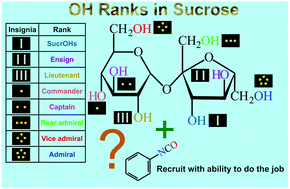 Graphical abstract: Eight out of eight: a detailed kinetic study on the reactivities of the eight hydroxyl groups of sucrose with phenyl isocyanate