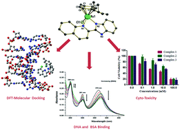 Graphical abstract: Design, synthesis, characterization and evaluation of the anticancer activity of water-soluble half-sandwich ruthenium(ii) arene halido complexes