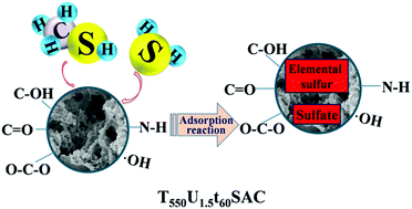 Graphical abstract: Urea-modified grass ash activated sludge carbon: structure and adsorption properties towards H2S and CH3SH