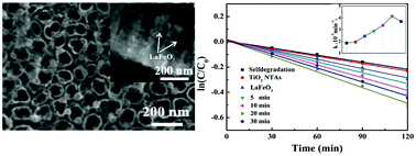 Graphical abstract: Electrochemical synthesis of perovskite LaFeO3 nanoparticle-modified TiO2 nanotube arrays for enhanced visible-light photocatalytic activity