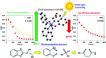 Graphical abstract: Enhanced photocatalytic degradation of 2-thiobenzimidazole by the tris(8-quinolinolato)cobalt(iii) complex through peroxide adduct formation: theoretical and experimental investigations