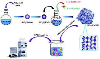 Graphical abstract: Facile synthesis of a 3D flower-like SiO2-MOF architecture with copper oxide as a copper source for enantioselective capture