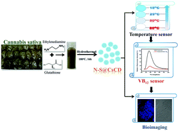 Graphical abstract: Cannabis sativa-derived carbon dots co-doped with N–S: highly efficient nanosensors for temperature and vitamin B12