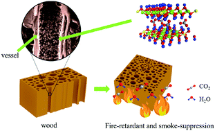 Graphical abstract: Flame-retardant and smoke-suppressing wood obtained by the in situ growth of a hydrotalcite-like compound on the inner surfaces of vessels