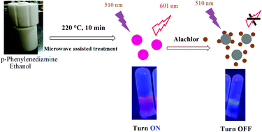 Graphical abstract: Red-emissive nitrogen doped carbon quantum dots for highly selective and sensitive fluorescence detection of the alachlor herbicide in soil samples