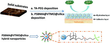 Graphical abstract: Protein-resistant surface based on zwitterion-functionalized nanoparticles for marine antifouling applications