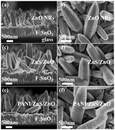 Graphical abstract: A polyaniline-coated ZnS/ZnO/FTO photoelectrode for improving photocorrosion prevention and visible light absorption