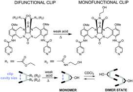 Graphical abstract: Synthesis of a monofunctional glycoluril molecular clip via cyclic imide formation on the convex site
