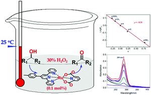 Graphical abstract: Efficient and selective oxidation of alcohols to carbonyl compounds at room temperature by a ruthenium complex catalyst and hydrogen peroxide