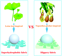Graphical abstract: Superhydrophobic and slippery cotton fabrics with robust nanolayers for stable wettability, anti-fouling and anti-icing properties