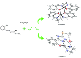 Graphical abstract: Cu(ii) salen and 1,2,4-triazole complexes from thiosemicarbazone: synthesis, physicochemical and structural properties and cytotoxic activities