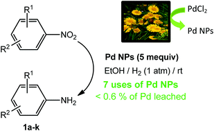 Graphical abstract: Green reusable Pd nanoparticles embedded in phytochemical resins for mild hydrogenations of nitroarenes