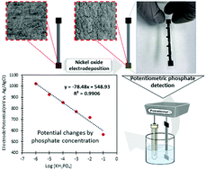 Graphical abstract: Development of a nickel oxide/oxyhydroxide-modified printed carbon electrode as an all solid-state sensor for potentiometric phosphate detection