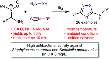 Graphical abstract: Aminonitrones as highly reactive bifunctional synthons. An expedient one-pot route to 5-amino-1,2,4-triazoles and 5-amino-1,2,4-oxadiazoles – potential antimicrobials targeting multi-drug resistant bacteria