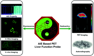 Graphical abstract: Aggregation-induced emission based PET probe for liver function imaging