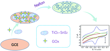 Graphical abstract: A TiO2–SnS2 nanocomposite as a novel matrix for the development of an enzymatic electrochemical glucose biosensor