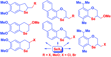 Graphical abstract: A novel methodology for the synthesis of condensed selenium heterocycles based on the annulation and annulation–methoxylation reactions of selenium dihalides