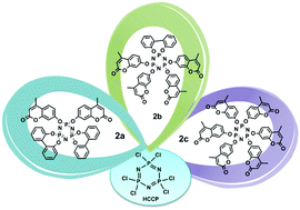 Graphical abstract: Synthesis and anticancer activity of cyclotriphosphazenes functionalized with 4-methyl-7-hydroxycoumarin