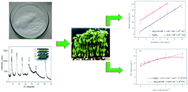 Graphical abstract: Layered double hydroxides intercalated with borate: effect of fertilization on boron leaching and successive sunflower cultivations