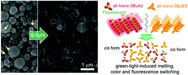 Graphical abstract: Green-light-induced melting of self-assembled azobenzene nano/microstructures