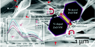 Graphical abstract: Fabrication of rGO nano-sheets wrapped on Ni doped ZnO nanowire p–n heterostructures for hydrogen gas sensing