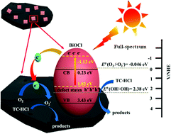 Graphical abstract: A 2D mesoporous photocatalyst constructed by the modification of biochar on BiOCl ultrathin nanosheets for enhancing the TC-HCl degradation activity