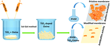 Graphical abstract: Auto-cleaning functionalization of the polyvinylidene fluoride membrane by the biocidal oxine/TiO2 nanocomposite for anti-biofouling properties