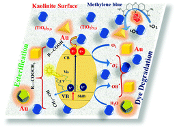 Graphical abstract: Clay-supported anisotropic Au-modified N,S-doped TiO2 nanoparticles for enhanced photocatalytic dye degradation and esterification reactions