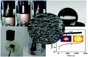 Graphical abstract: Ultralight and highly compressible coal oxide-modified graphene aerogels for organic solvent absorption and light-to-heat conversion