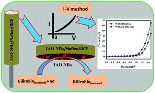 Graphical abstract: Selective bilirubin sensor fabrication based on doped IAO nanorods for environmental remediation