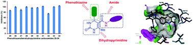 Graphical abstract: Phenothiazine and amide-ornamented novel nitrogen heterocyclic hybrids: synthesis, biological and molecular docking studies