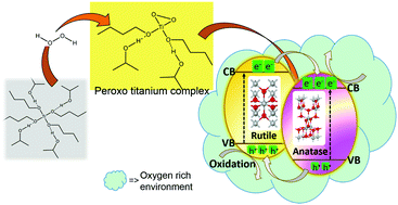 Graphical abstract: Self-oxygenated anatase–rutile phase junction: ensuring the availability of sufficient surface charges for photocatalysis