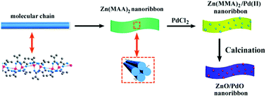 Graphical abstract: Janus coordination polymer derived PdO/ZnO nanoribbons for efficient 4-nitrophenol reduction