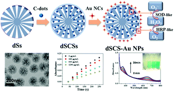Graphical abstract: Dendritic silica with carbon dots and gold nanoclusters for dual nanozymes