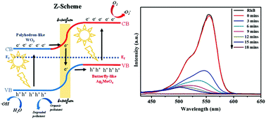 Graphical abstract: Facile synthesis of new polyhedron-like WO3/butterfly-like Ag2MoO4 p–n junction photocatalysts with higher photocatalytic activity in UV/solar region light