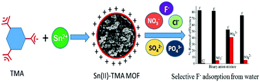 Graphical abstract: Green synthesis of a novel water-stable Sn(ii)-TMA metal–organic framework (MOF): an efficient adsorbent for fluoride in aqueous medium in a wide pH range