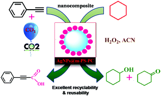 Graphical abstract: AgNPs encapsulated by an amine-functionalized polymer nanocatalyst for CO2 fixation as a carboxylic acid and the oxidation of cyclohexane under ambient conditions