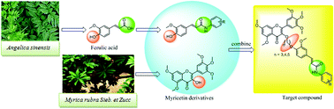 Graphical abstract: Synthesis and antiviral activity of novel myricetin derivatives containing ferulic acid amide scaffolds