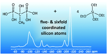 Graphical abstract: Five- and six-fold coordinated silicon in silicodiphosphonates: short range order investigation by solid-state NMR spectroscopy