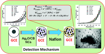 Graphical abstract: 3-Methoxyphenol chemical sensor fabrication with Ag2O/CB nanocomposites
