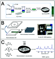 Graphical abstract: Fabrication of liquid–liquid self-assembled Ag arrays on disposable screen-printed electrodes and their application in the identification and analysis of the adsorption behavior of organic carboxylates through in situ electrochemical surface-enhanced Raman scattering