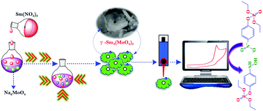 Graphical abstract: Exploring the electrocatalytic application of two-dimensional samarium molybdate (γ-Sm3(MoO4)3) nanoplatelets for the selective sensing of the organophosphate insecticide oxyparathion