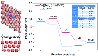 Graphical abstract: Theoretical study of the strain effect on the oxygen reduction reaction activity and stability of FeNC catalyst