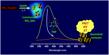 Graphical abstract: Hydrothermal synthesis of WS2 quantum dots and their application as a fluorescence sensor for the selective detection of 2,4,6-trinitrophenol