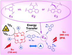 Graphical abstract: New porphyrin dendrimers with fluorenyl-based connectors: a simple way to improving the optical properties over dendrimers featuring 1,3,5-phenylene connectors