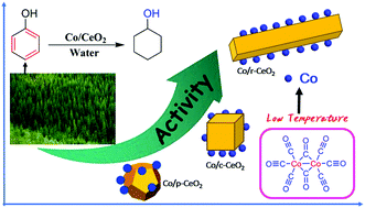 Graphical abstract: Support morphology-dependent catalytic activity of the Co/CeO2 catalyst for the aqueous-phase hydrogenation of phenol
